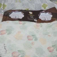 رو تختی سالم|سرویس روتختی|آستانه اشرفیه, |دیوار