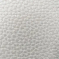 کارت بنزبن نیسان ۲۴۰۰گمشده