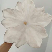 ظروف رزینی میوه خوری و شیرینی خوری|ظروف سرو و پذیرایی|آبادان, |دیوار