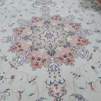 دوعدد فرش ۶ متری درحد نو|فرش|رشت, نظری|دیوار