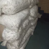 کش سوزنی