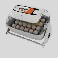 دستگاه جوجه کشی آرکام کره ای