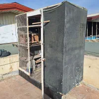 گنجهکفتر ضخیم ومحکم|لوازم جانبی حیوانات|پاکدشت, پاکدشت (مامازند)|دیوار