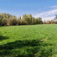 زمین زراعی روستای بندیزه|فروش زمین و ملک کلنگی|اشترینان, |دیوار