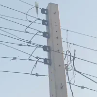 عروس هلندی گمشده