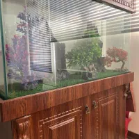 آکواریوم|ماهی|تهران, شهرک امیرالمومنین|دیوار
