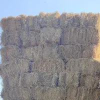 پرس برنج مناسب برای( خربزه) با تعداد (10هزار عدد)