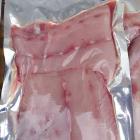 ماهی جنوب صید روز  فیله و وکیوم شده انلاین
