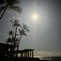 درخواست تریلی لبه برا گناوه