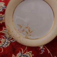 ۱۲ عدد پلوخوری|ظروف سرو و پذیرایی|ساری, |دیوار