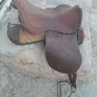 زین برنو