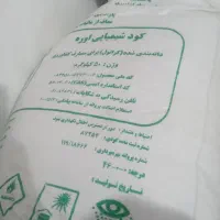 باغبانی ۸درخت کاری