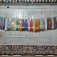 فرش نیمه کاره|فرش|تبریز, |دیوار