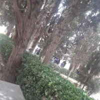 گردش حال کردن