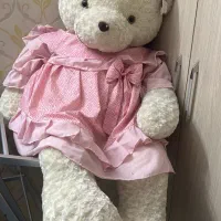 خرس بزرگ ولنتاینی