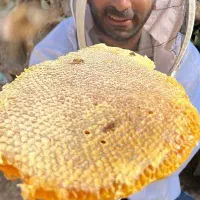 عسل صد در صد طبیعیی درمانی با قابلیت مرجوعی