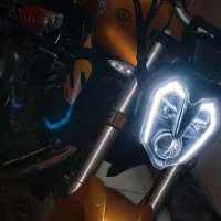 بنلی ۳۰۰ جفت