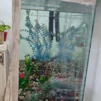 آکواریوم معاوضه با پرنده قفسی|ماهی|مشهد, امیریه|دیوار