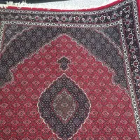 فرش ماهی در هم سالم|فرش|سقز, |دیوار