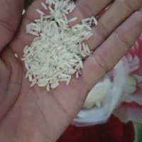 برنج درجه یک هاشمی پاشاکی