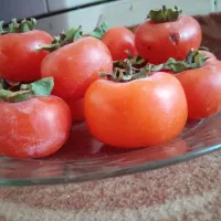 خرمالو تازه