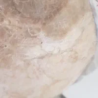 مجسمه ماهی|مجسمه، تندیس، ماکت|کرج, برغان|دیوار