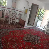 فرش به شدت تمیز و سالم