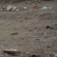 زمین فروشی سرزه|فروش زمین و ملک کلنگی|ایرانشهر, |دیوار