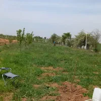 زمین باغی آینده دار