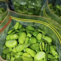 باقالی باقالا