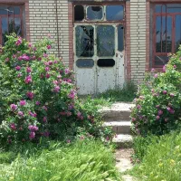 باسلام یک خانه ویلایی به فروش می‌رسد|فروش خانه و ویلا|مشگین شهر, |دیوار