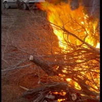 فروش زانتیا ۸۲ سوپرلوکس درجه یک|خودرو سواری و وانت|شاهین دژ, |دیوار