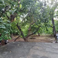 باغچه در روستای سولقان محله بالا|فروش زمین و ملک کلنگی|کن, |دیوار