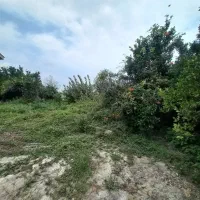 زمین مسکونی ۲۰۰متر
