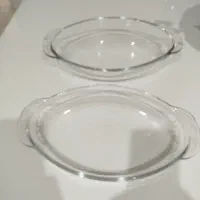 مرغ خوری و دیس بزرگ ایرانی