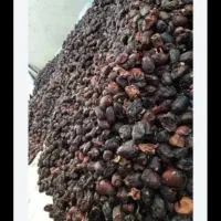 خرما کده|خوردنی و آشامیدنی|بم, |دیوار