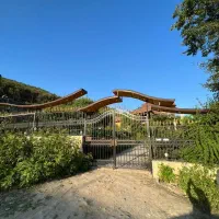 ویلا ۴خوابه تعداد بالا .دربست .جنگلی امشب خالی