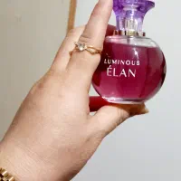 باکس و گل|کلکسیون اشیاء عتیقه|قائم‌شهر, |دیوار