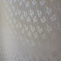 طرح کاغذ دیواری و رنگ پلاستیکی.|خدمات پیشه و مهارت|بستان آباد, |دیوار