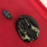 مهره باستانی گبری