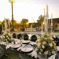 صندلی تالاری رومنس