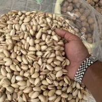 پسته درجه یک