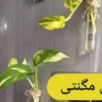 وسایل مناسب جهیزیه