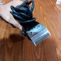 وال آمریکایی|آرایشی، بهداشتی، درمانی|تربت جام, پاسداران|دیوار