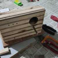 لونه پرنده میناب|لوازم جانبی حیوانات|میناب, |دیوار