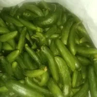 خیار تازه اورگانیگ
