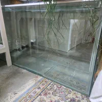 آکواریوم شیشه خم
