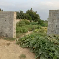 زمین روستایی/امیرکلا روستای باریکلا کوچه آستانه ۱۳