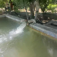 فروش زمین باغشهری ظفرآباد|فروش زمین و ملک کلنگی|شیراز, ظفرآباد|دیوار