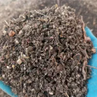 تفاله موجود